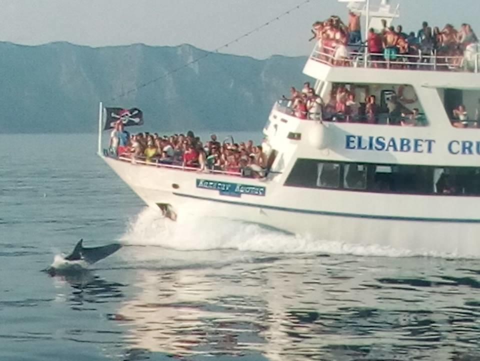 Theoxenia Lägenhet Pteleós Exteriör bild